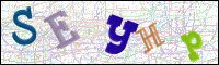 Görüntü Doğrulama